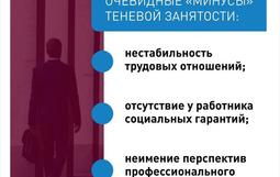Теневая занятость 